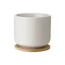 Theo Mugg Med Underlägg Sand