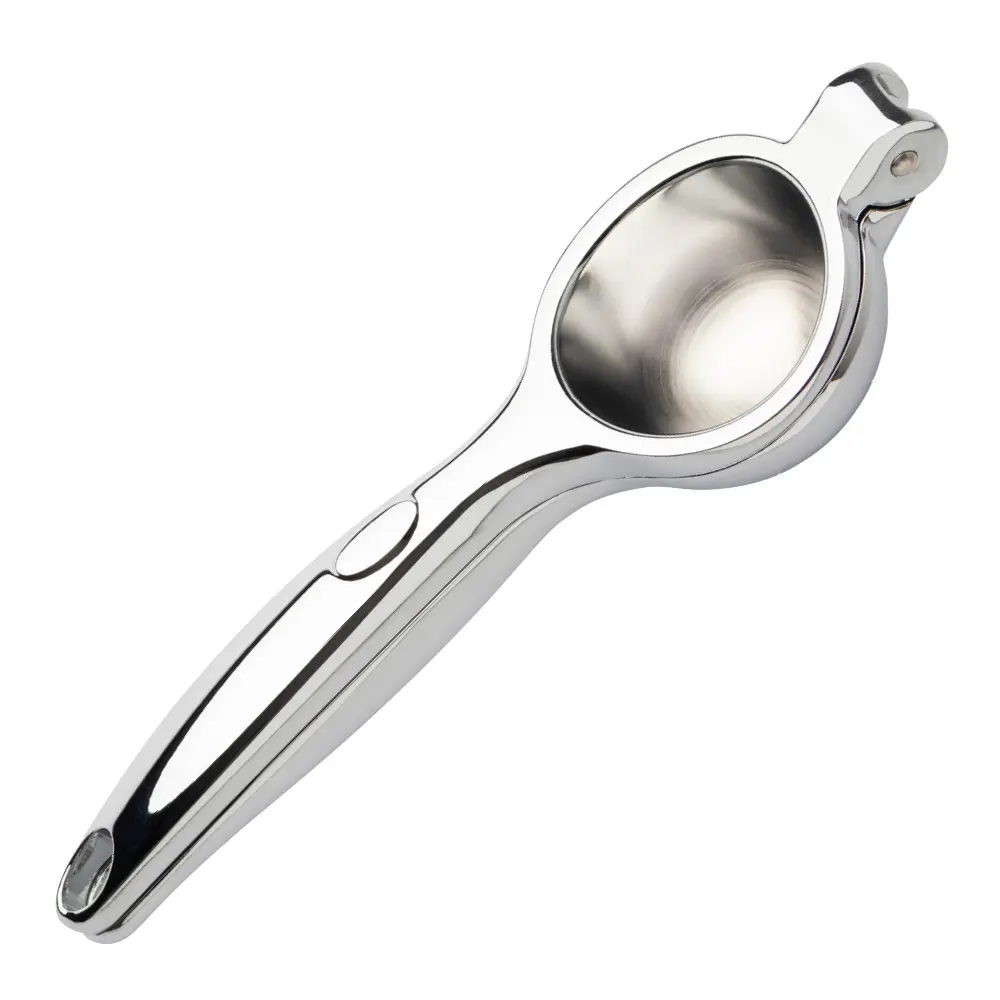 Taylor's Sitruspuristin Ruostumaton