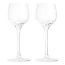 Premium Snapsglas 5 cl 2-pack