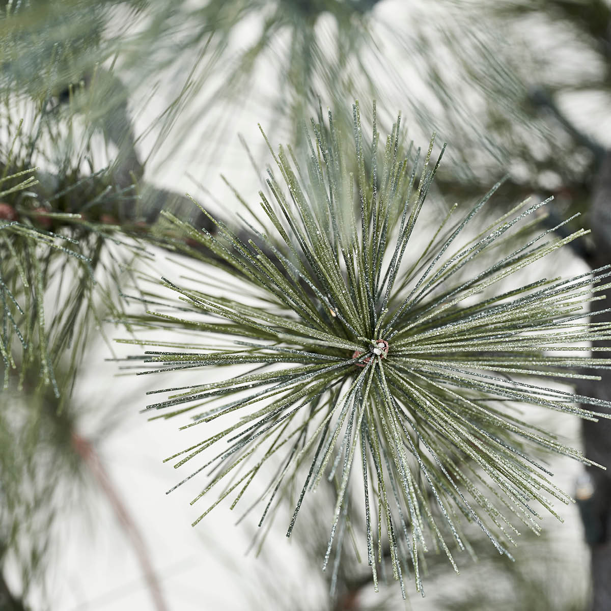 House Doctor Peuce julgran 125 cm natur