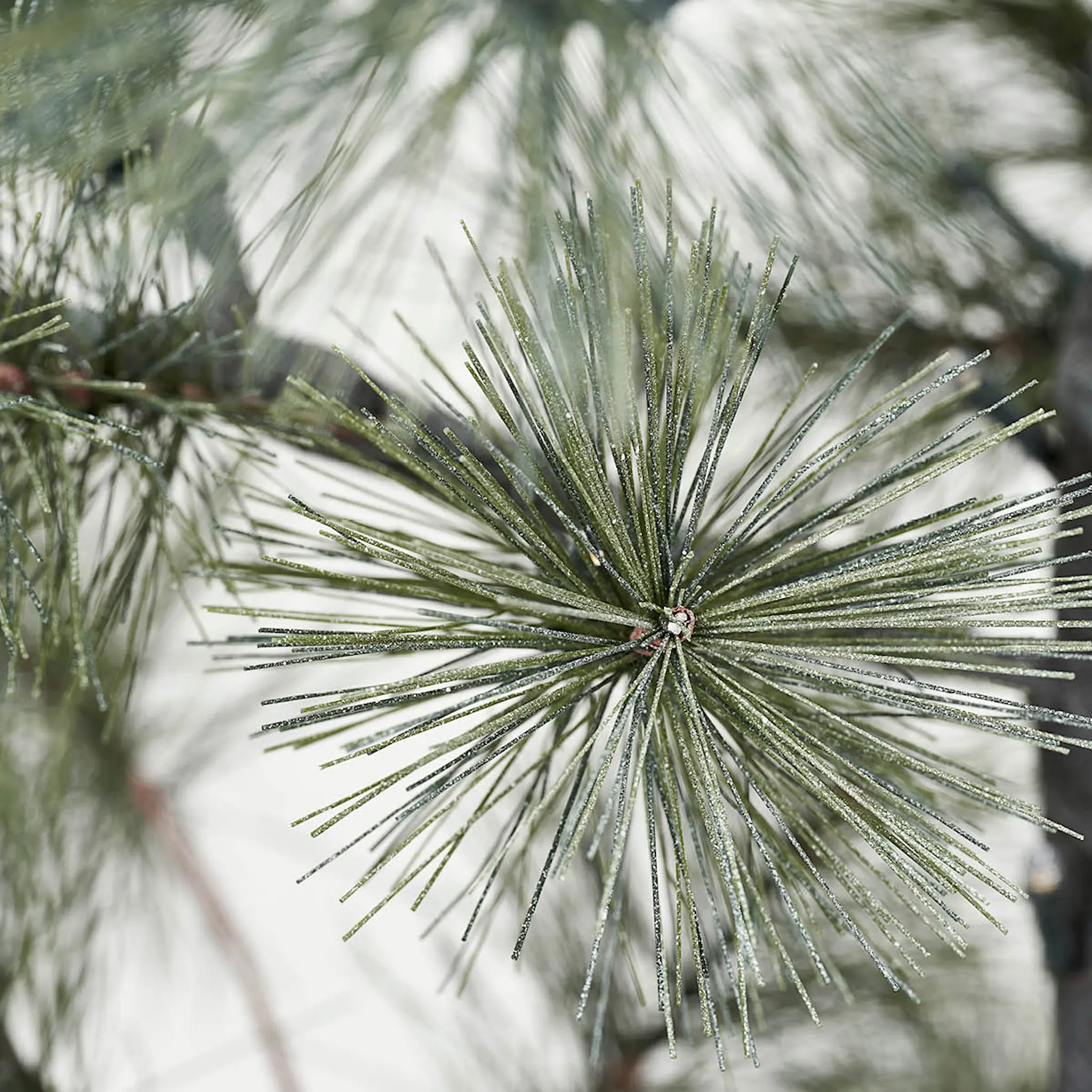 House Doctor Peuce julgran 125 cm natur