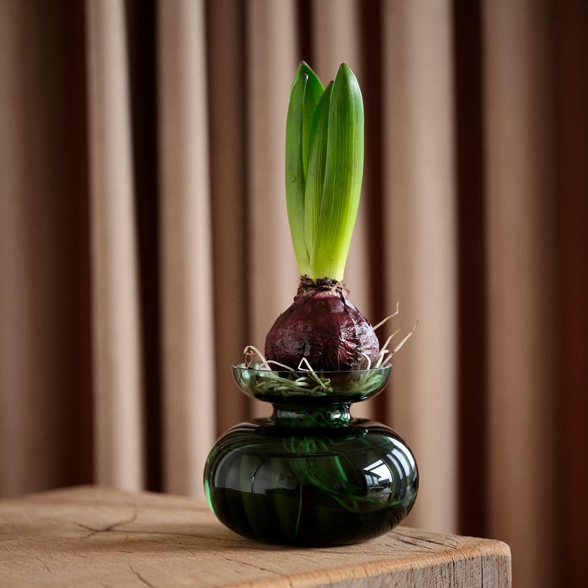 Zone Inu vas 11x9 cm moss green