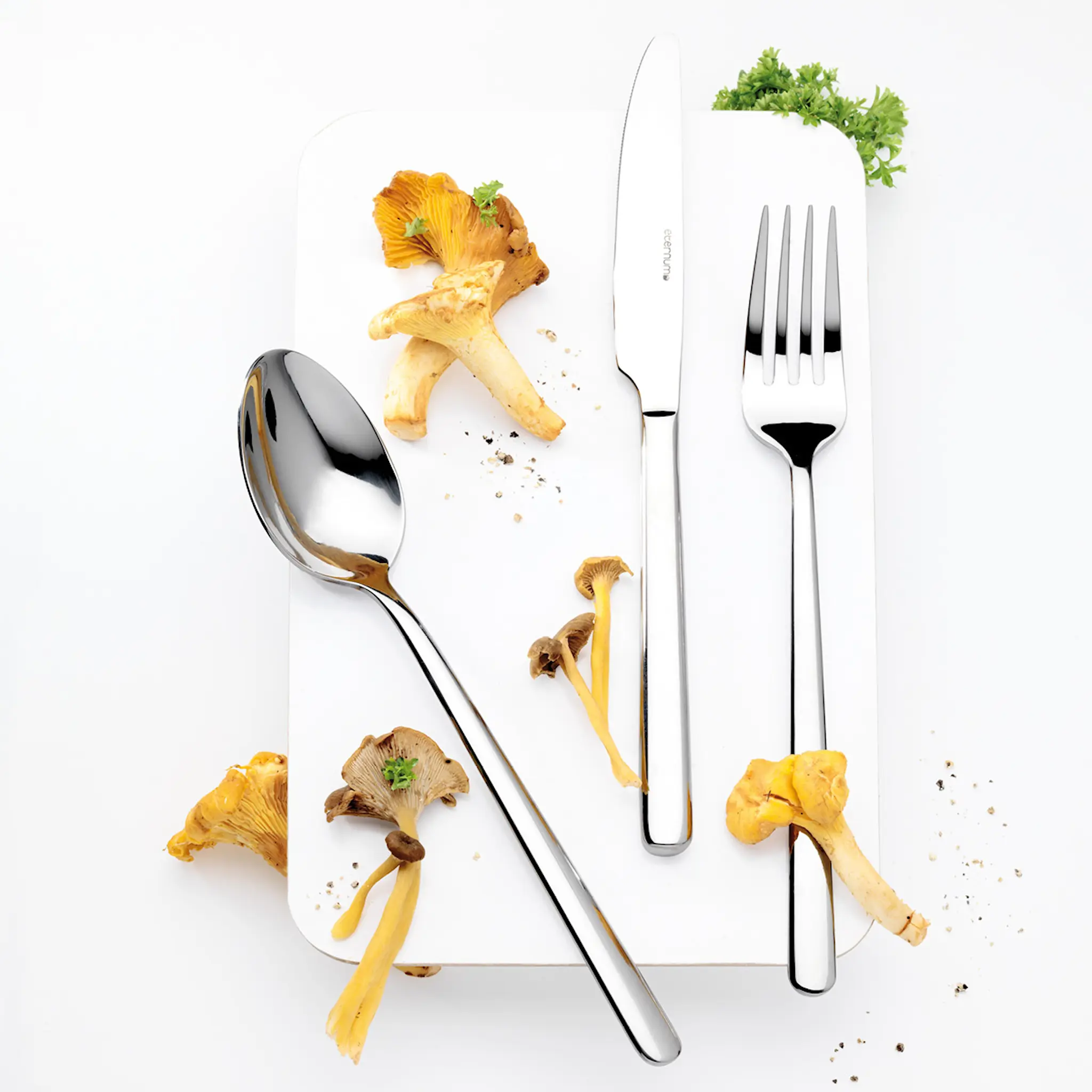 Eternum Nardo bestickset 16 delar rostfritt stål