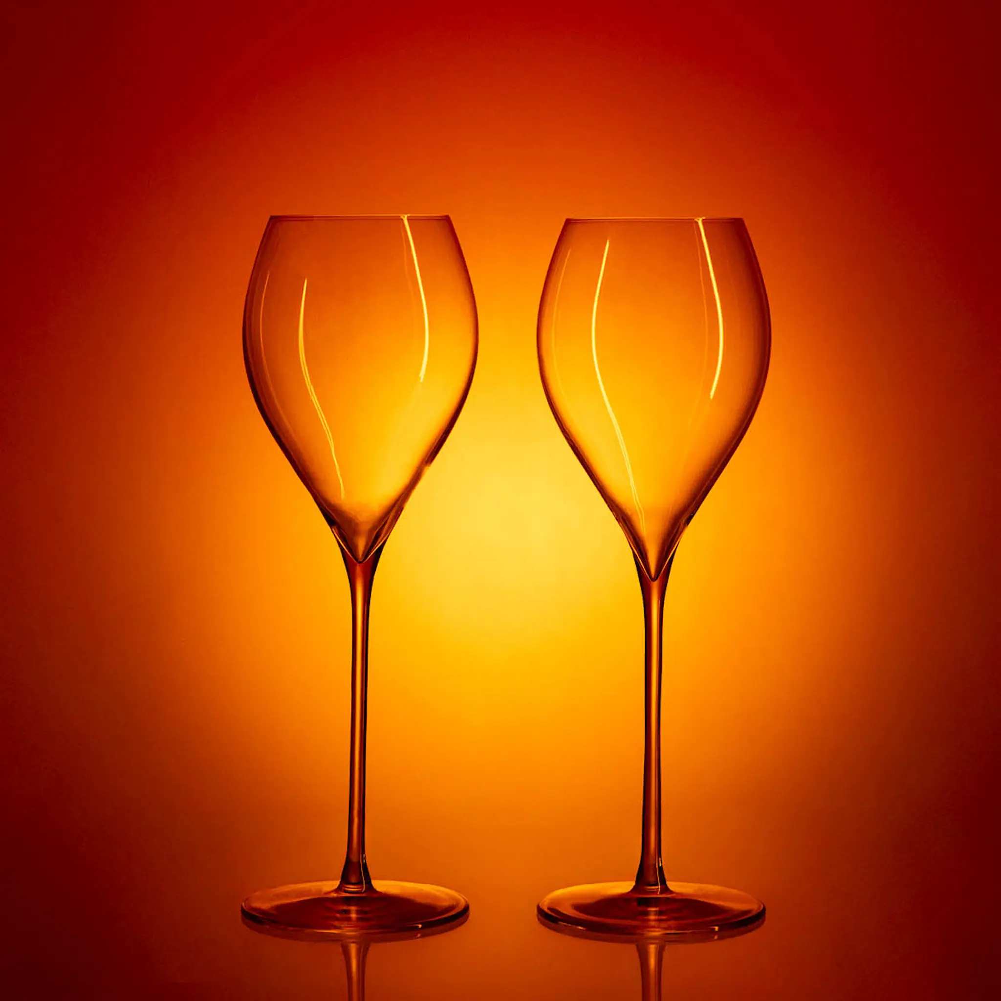 Stiernholm Elegance champagneglas 29 cl 2-pack klar