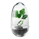 Grow Växthus Small 14 cm