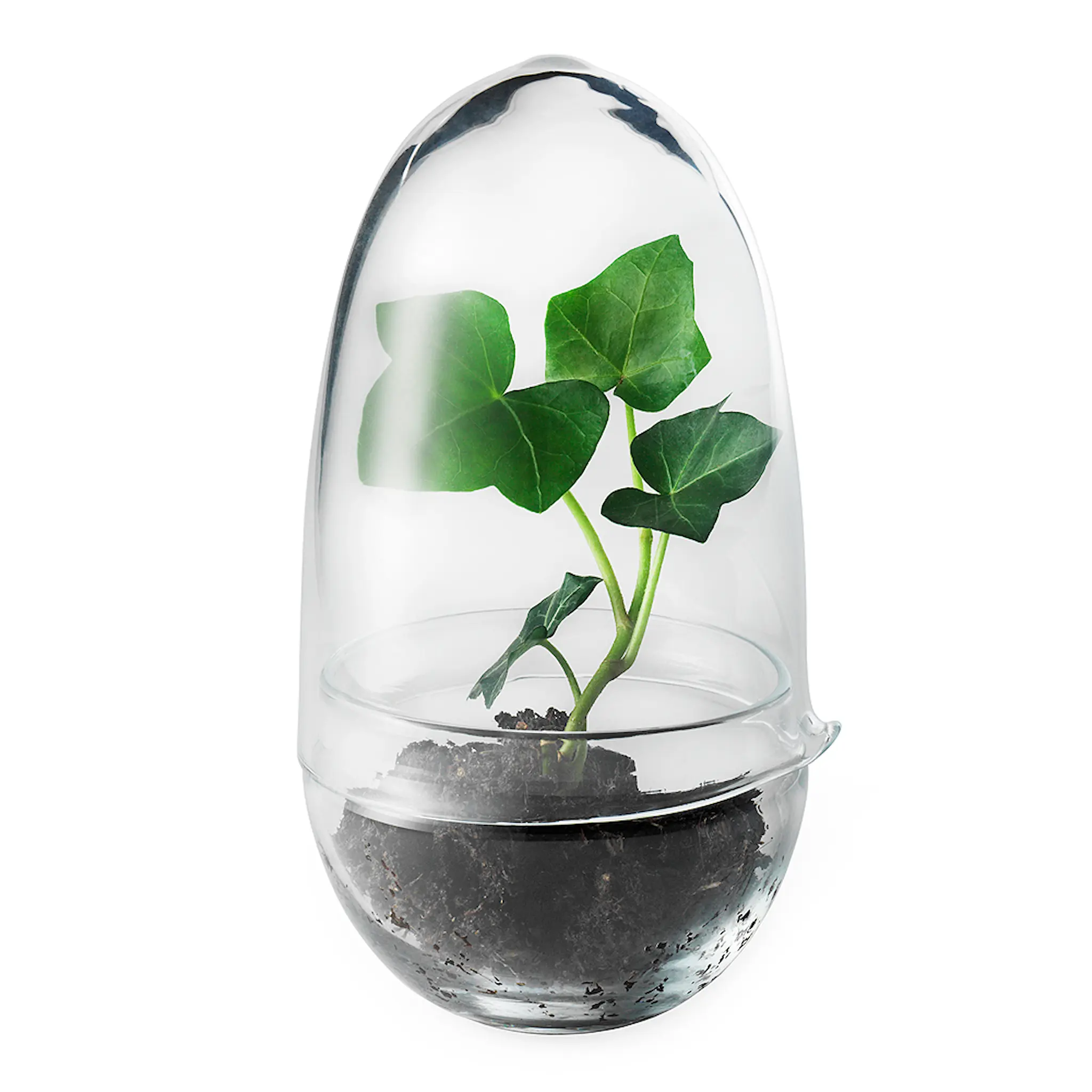 Design House Stockholm Grow Växthus Small 14 cm