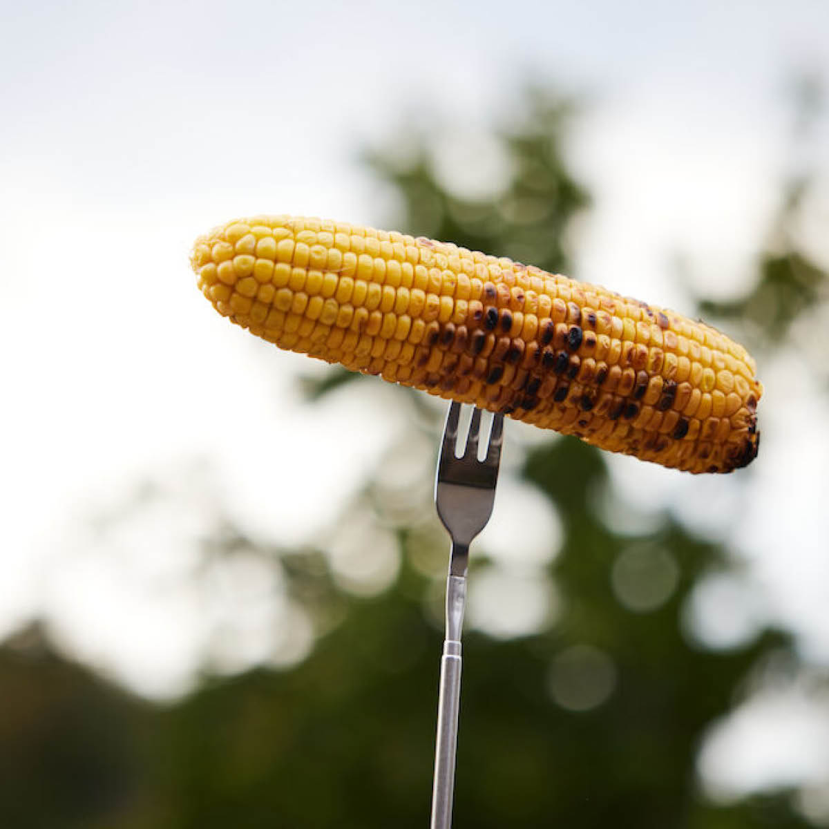 Sagaform Fredde Makkarahaarukka 82 cm Ruostumaton/Puu