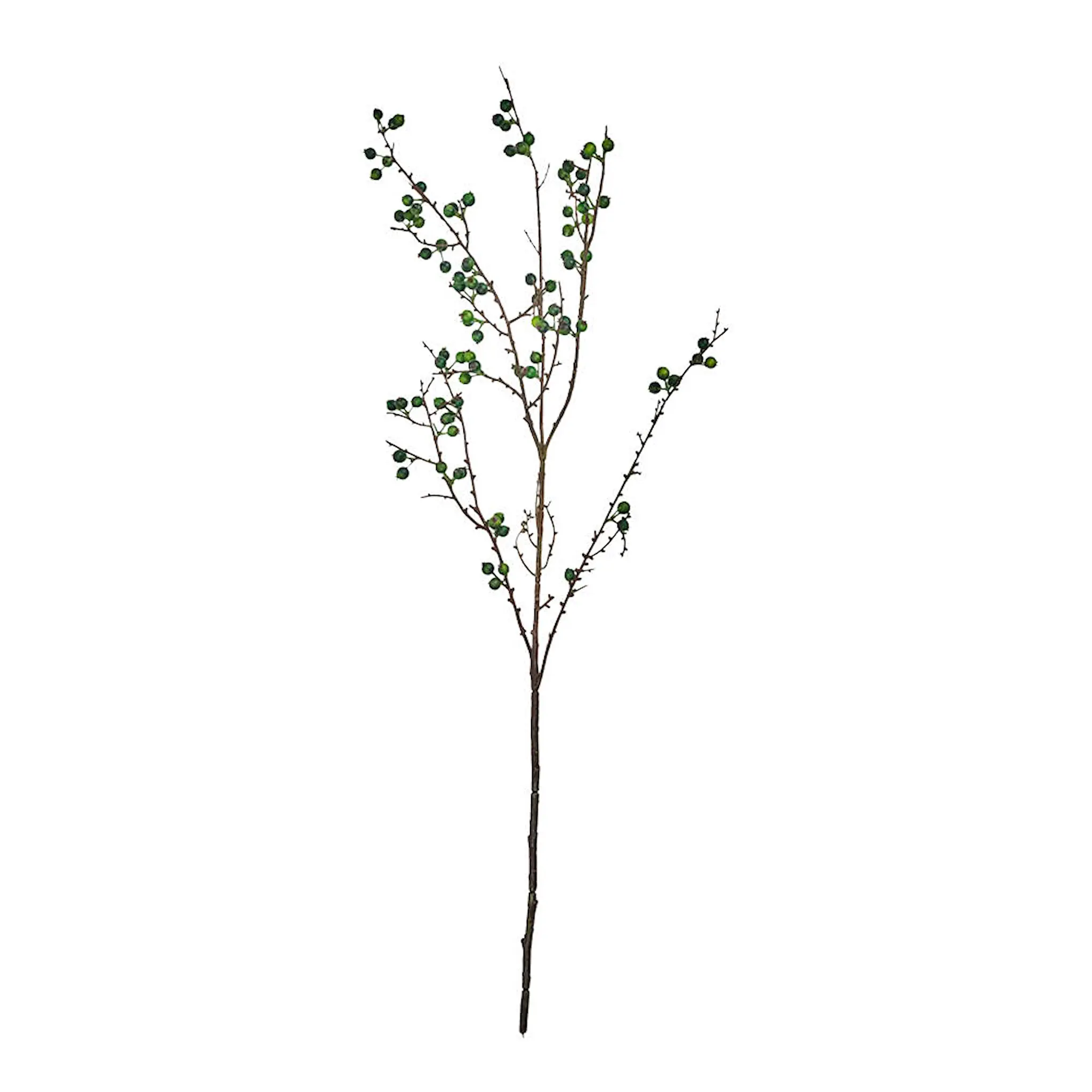 House Doctor Decor Tekokasvi 97 cm Vihreä