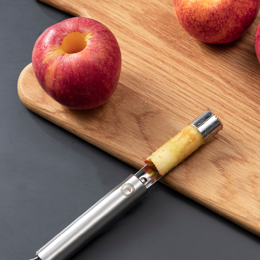 Anders Petter Steel Essentials urkärnare 20 cm blank