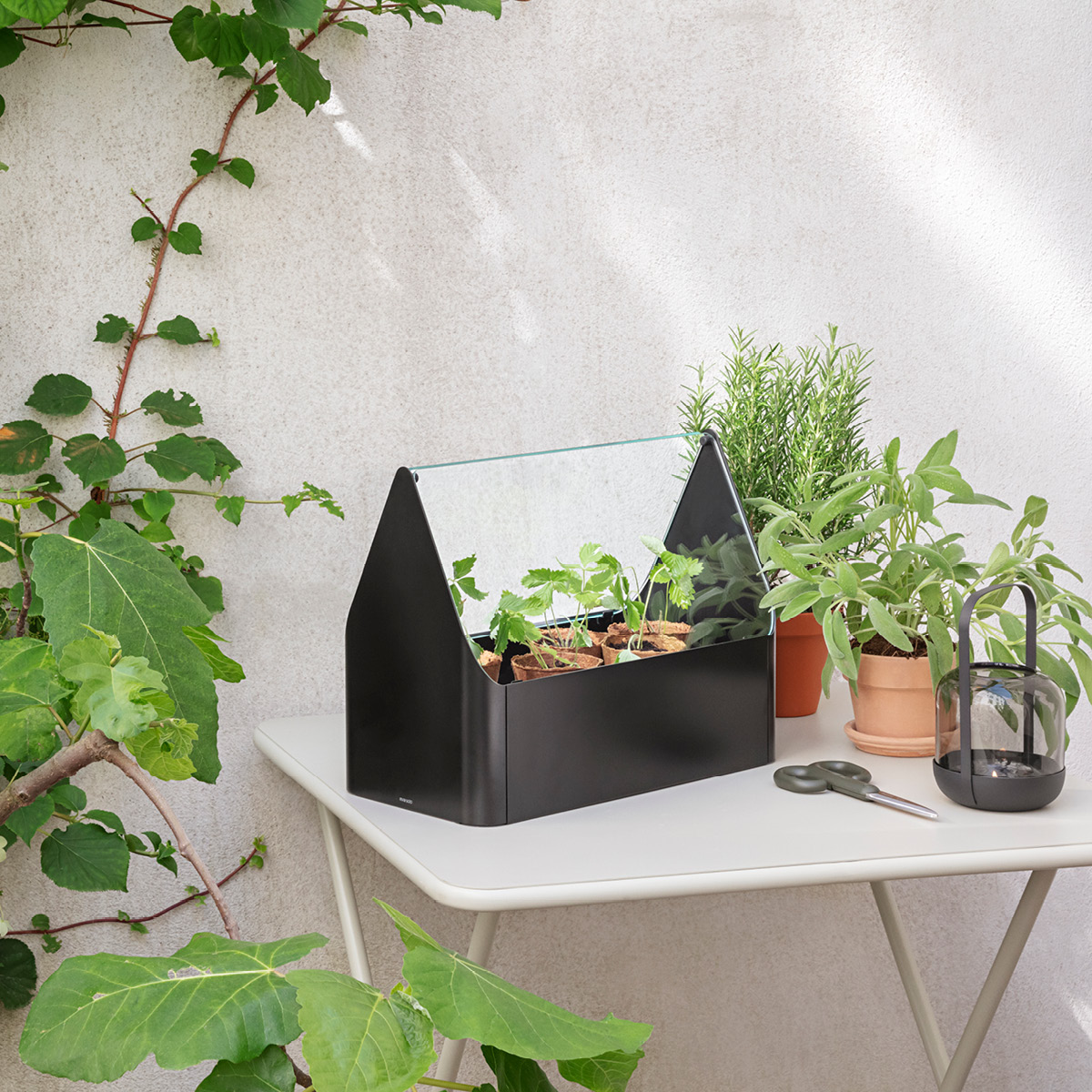 Eva Solo Simply Grow Miniväxthus 20x42x32 cm svart