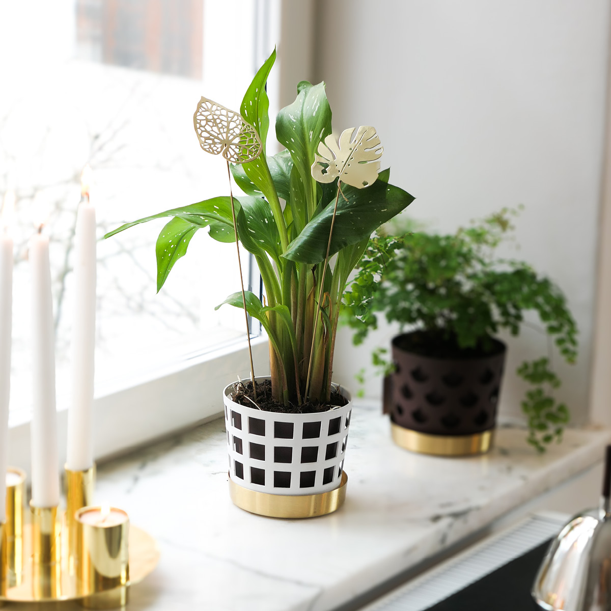 Klong Brass Leaves Water 2 stk