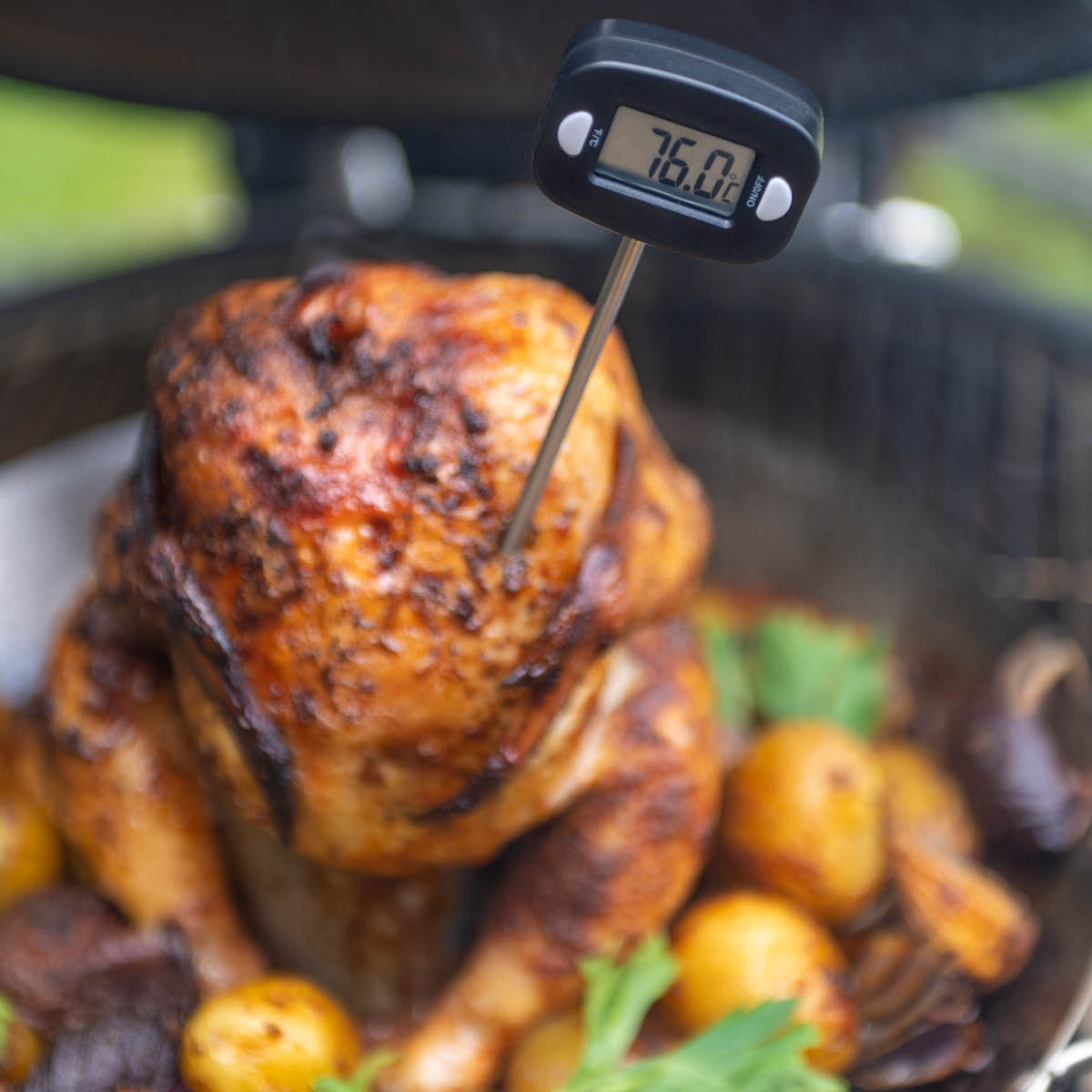 Mustang Digitalt termometer -40°C til +250°C