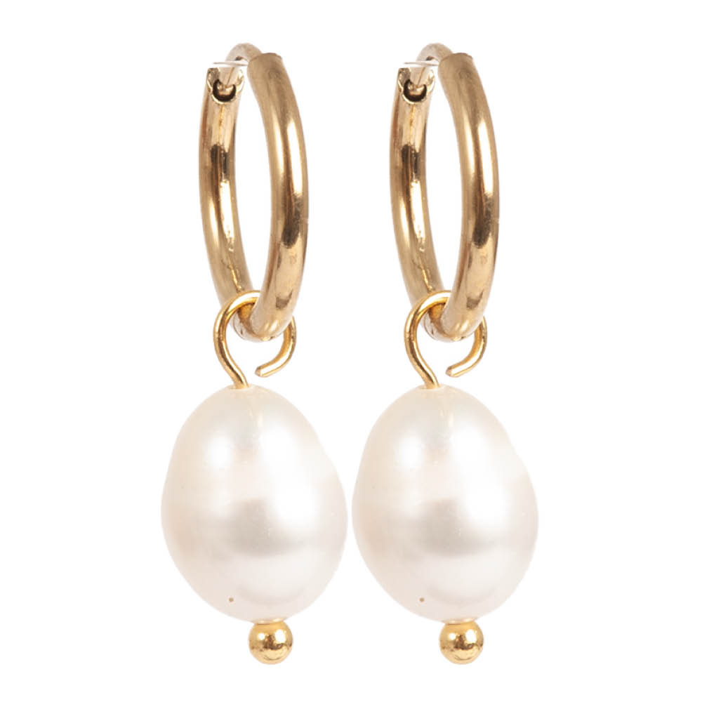 A&C Oslo AS Steel - Freshwater Pearls øreringer med ferskvannsperle gull