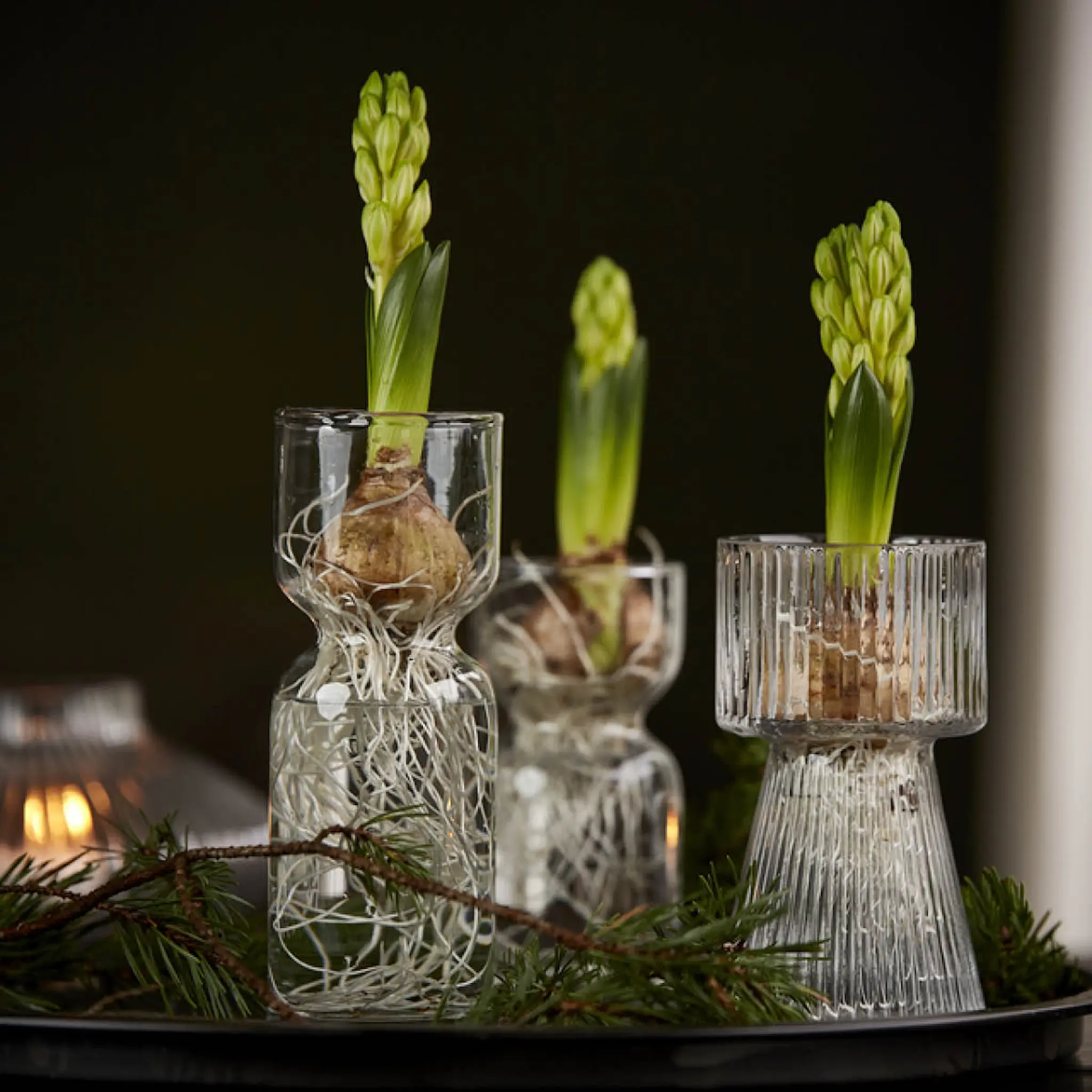 GUS Design Rette hyasintvase 20 cm klar hover