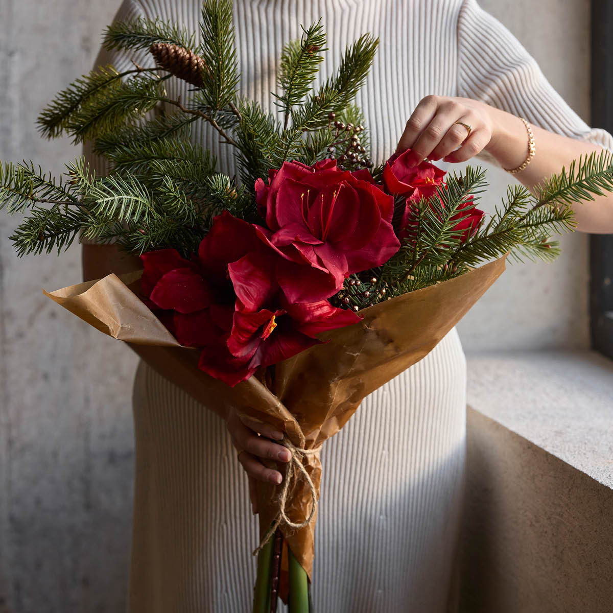 Mr Plant Amaryllis 63 cm rød