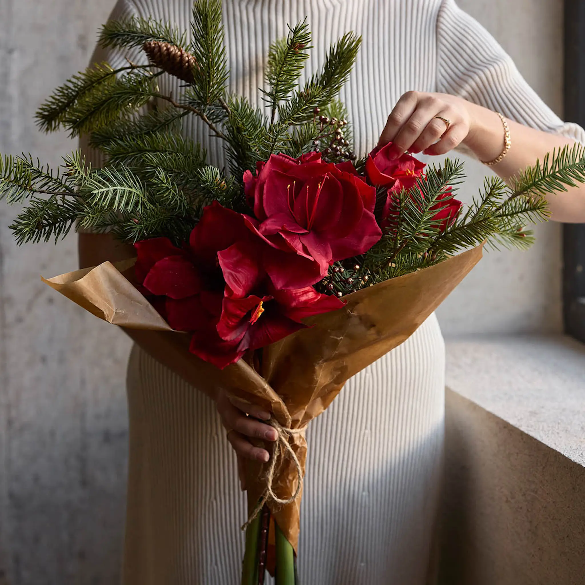 Mr Plant Amaryllis 63 cm röd