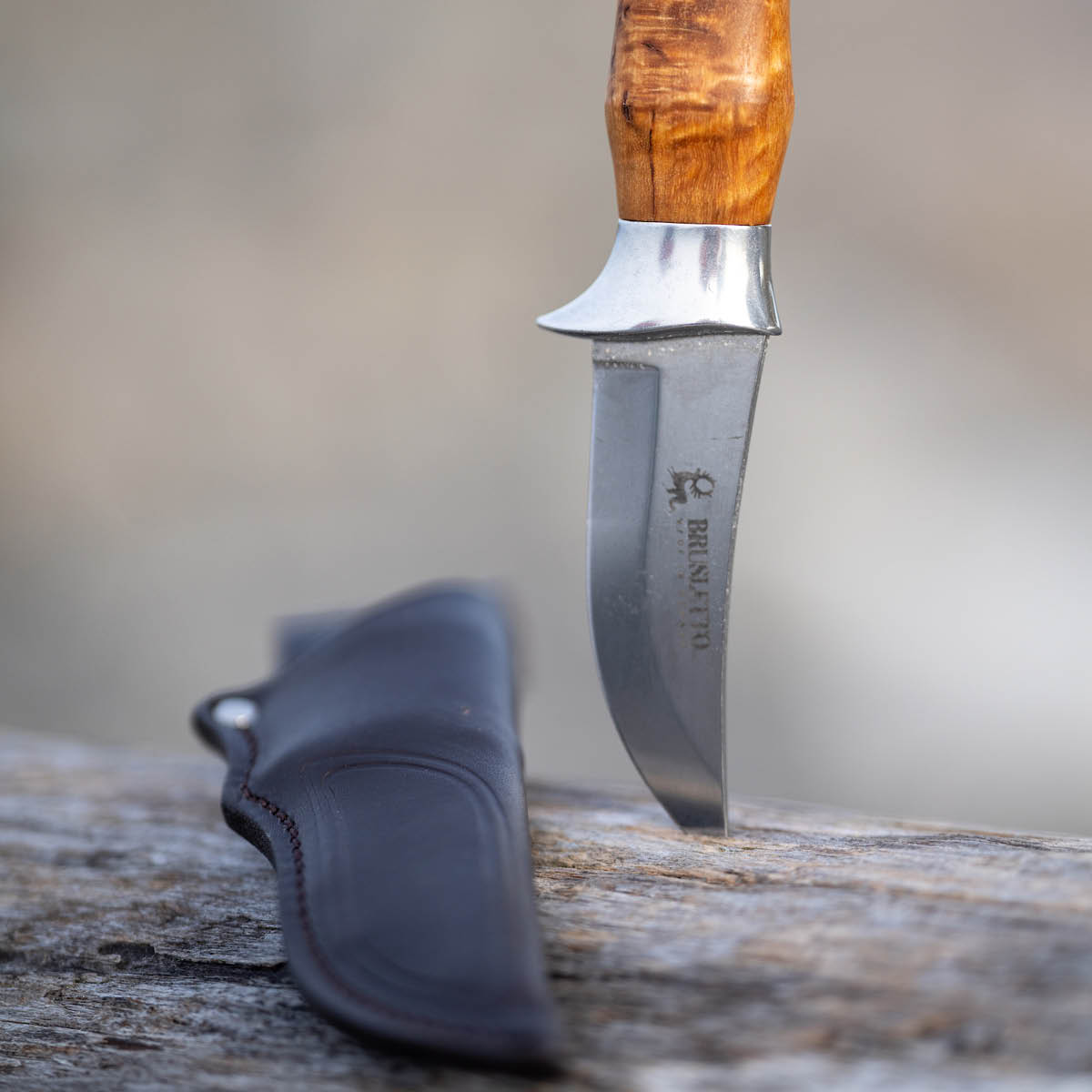 Brusletto Falken jaktkniv 19,5 cm masurbjørk