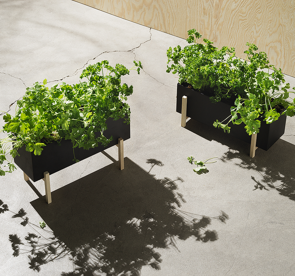 Design House Stockholm Kukkalaatikko Botanic Herb Box