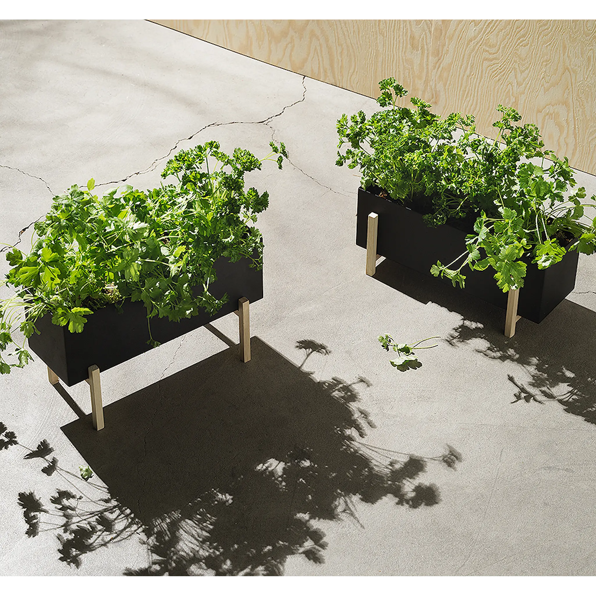 Design House Stockholm Blomsterlåda Botanic Herb Box