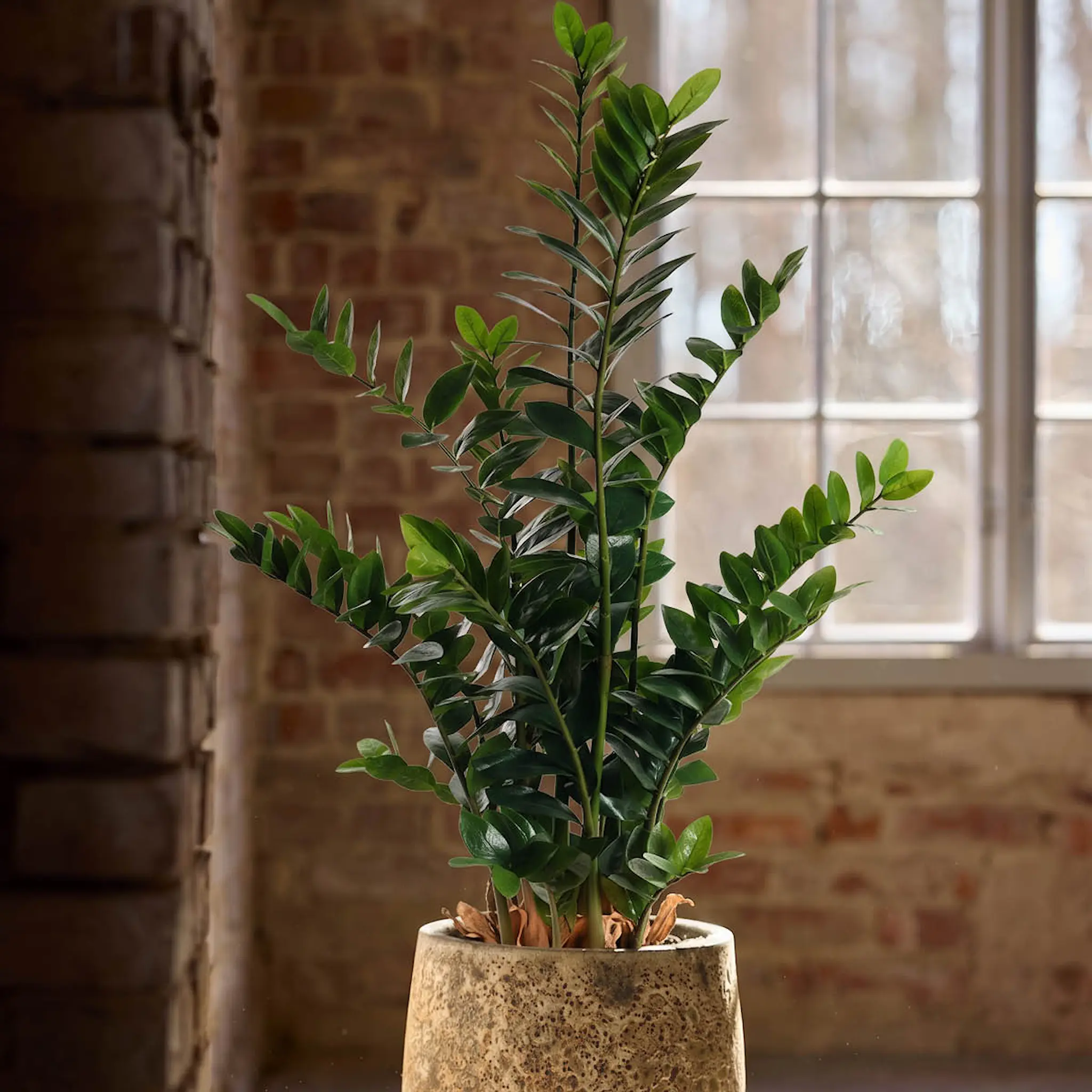 Mr Plant Zamifolia kunstig plante 130 cm