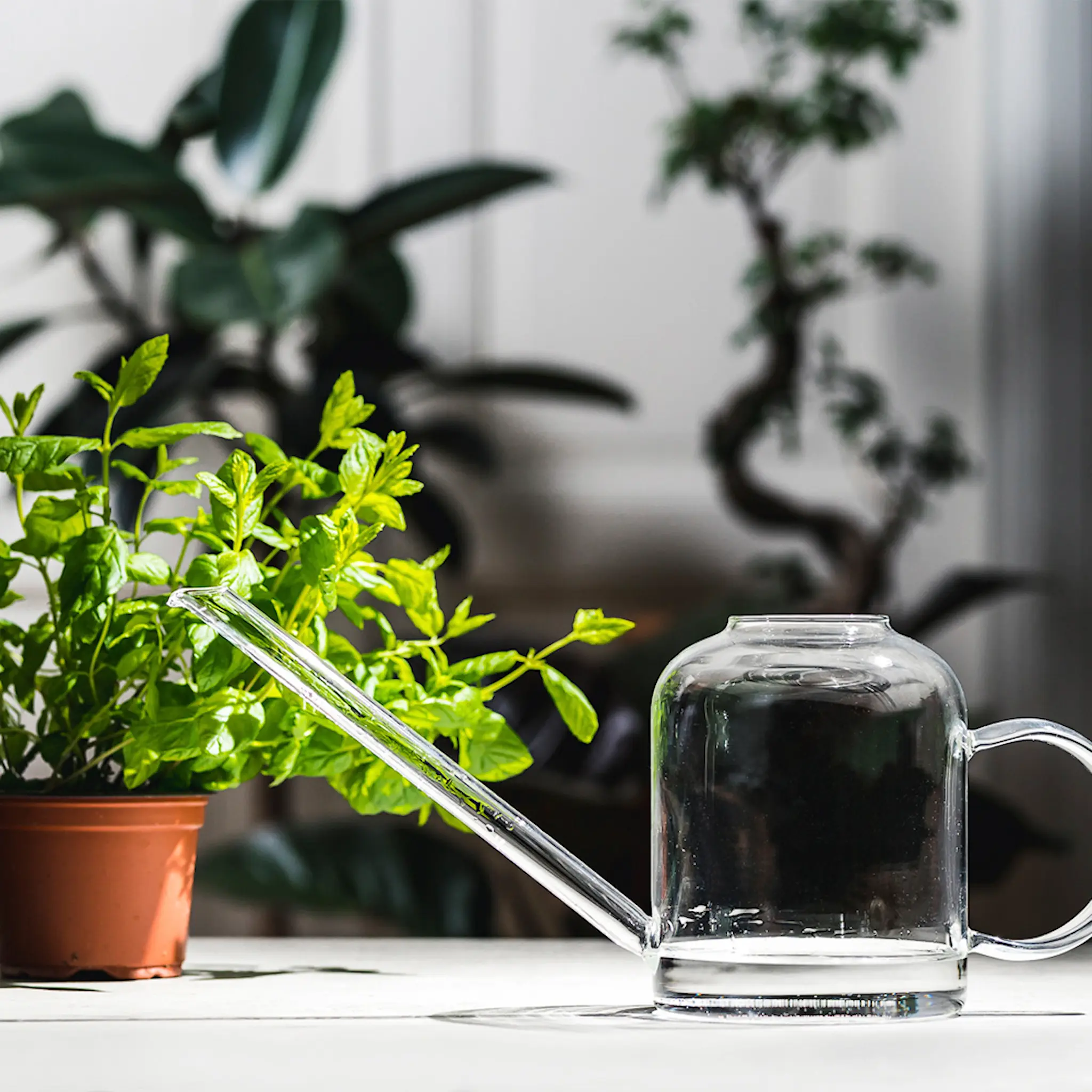Muurla Vattenkanna Glas 1,3 L