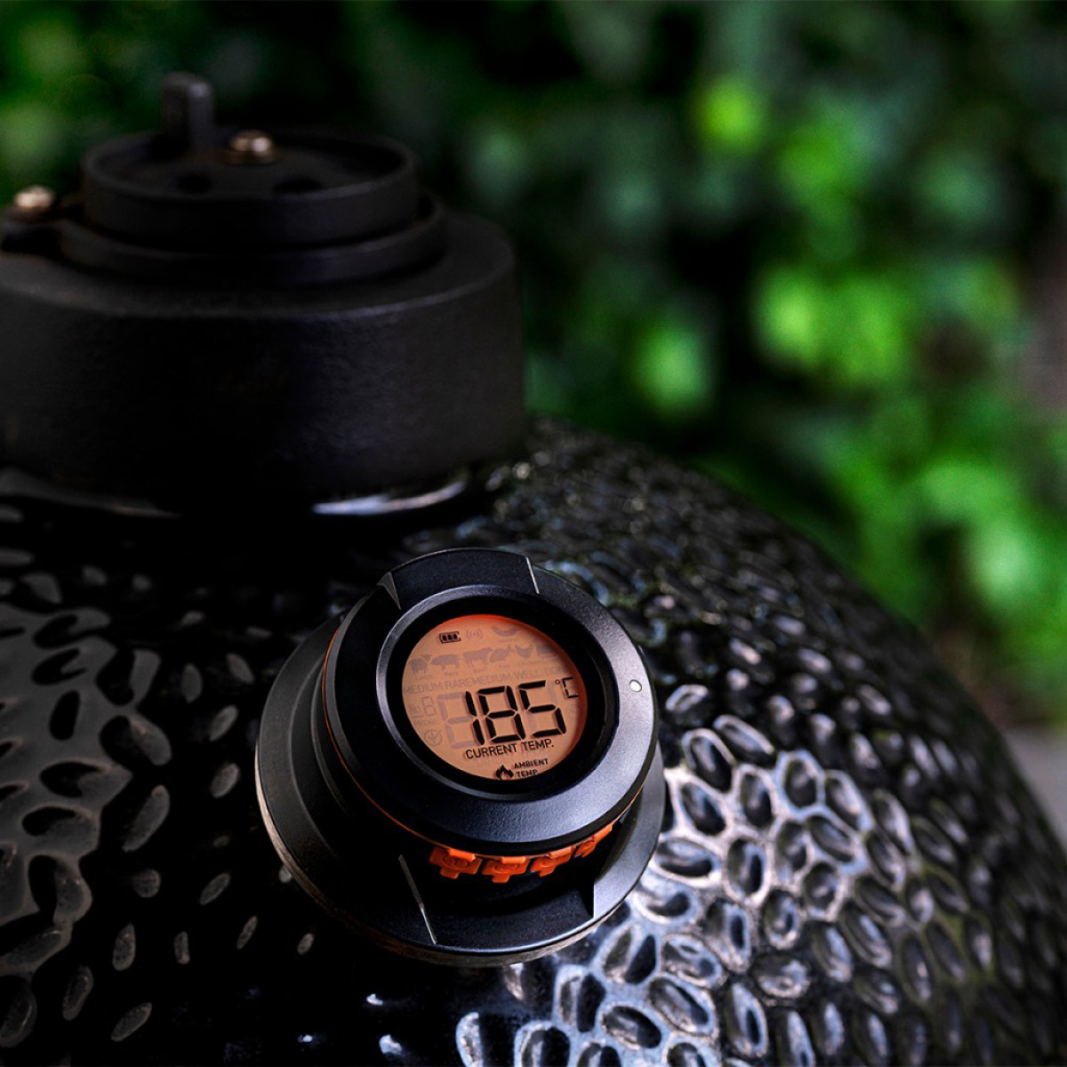 Click & Grow HerQs Dome sondtermometer svart