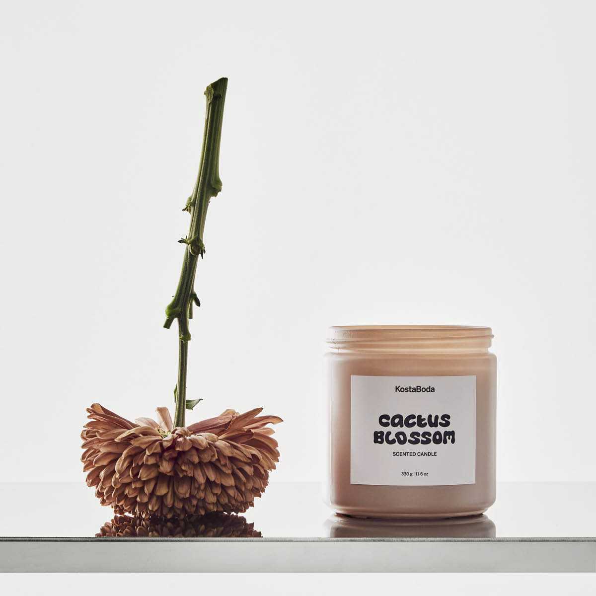 Kosta Boda Mind Tuoksukynttilä 10 cm Cactus Blossom