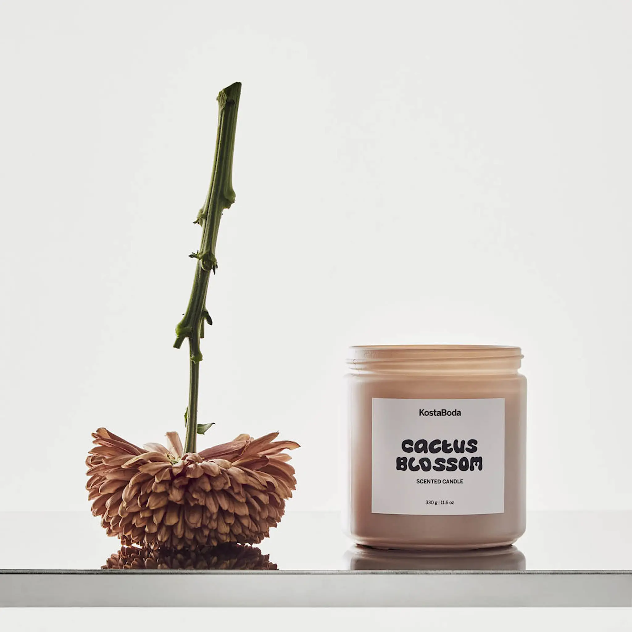 Kosta Boda Mind Tuoksukynttilä 10 cm Cactus Blossom