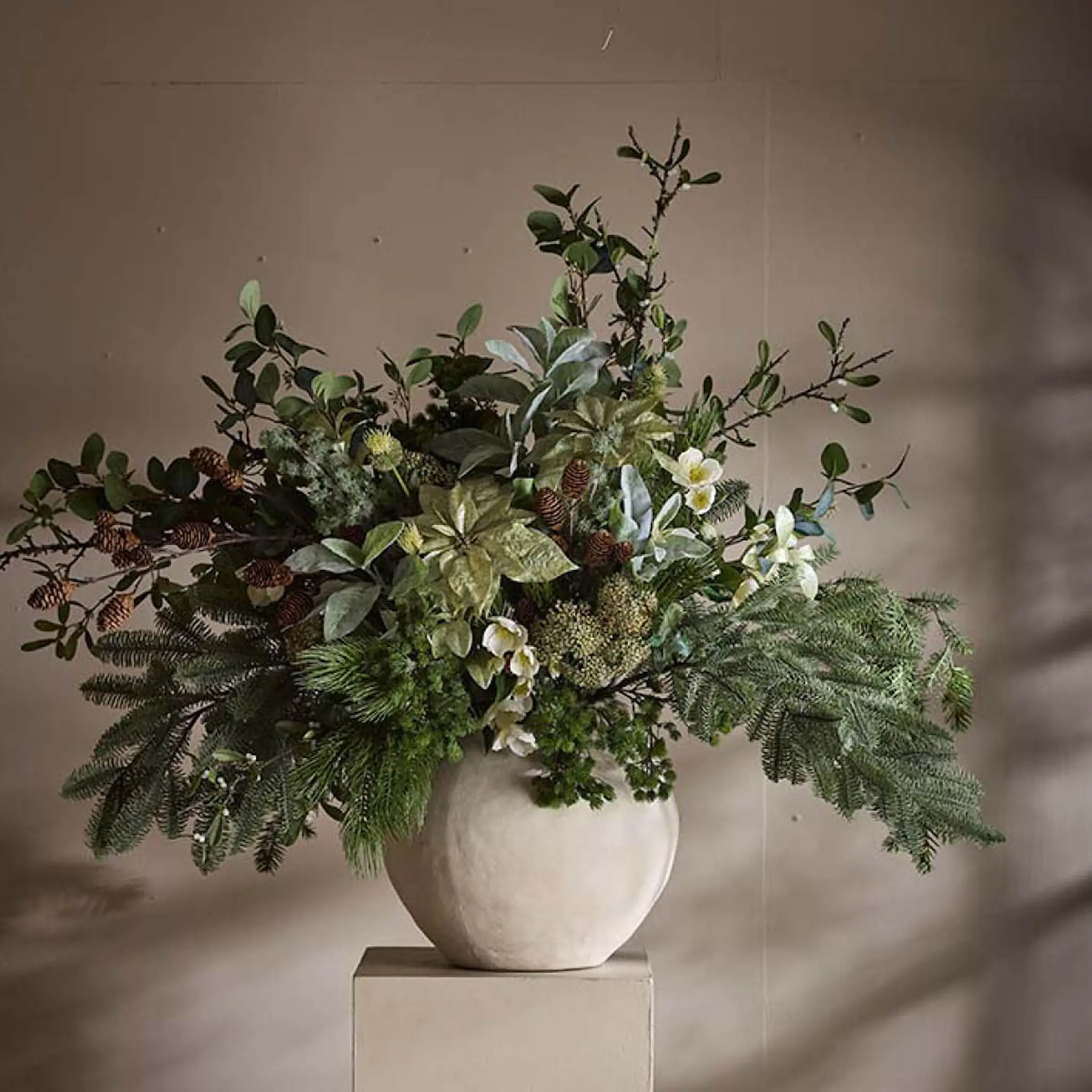 Mr Plant Julros 57 cm vit