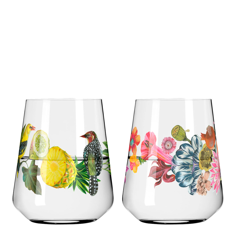 Ritzenhoff Sommertau Juomalasi 50 cl 2 kpl