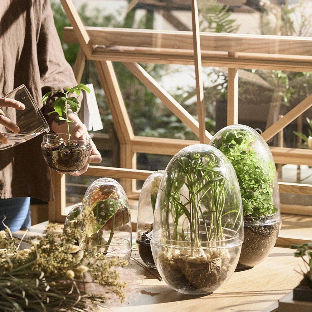 Design House Stockholm Grow Kasvihuone Large / Suuri 32 cm