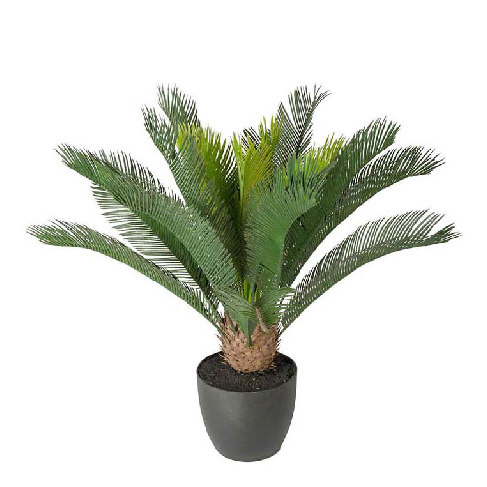 Mr Plant Cycas kunstig plante 70 cm