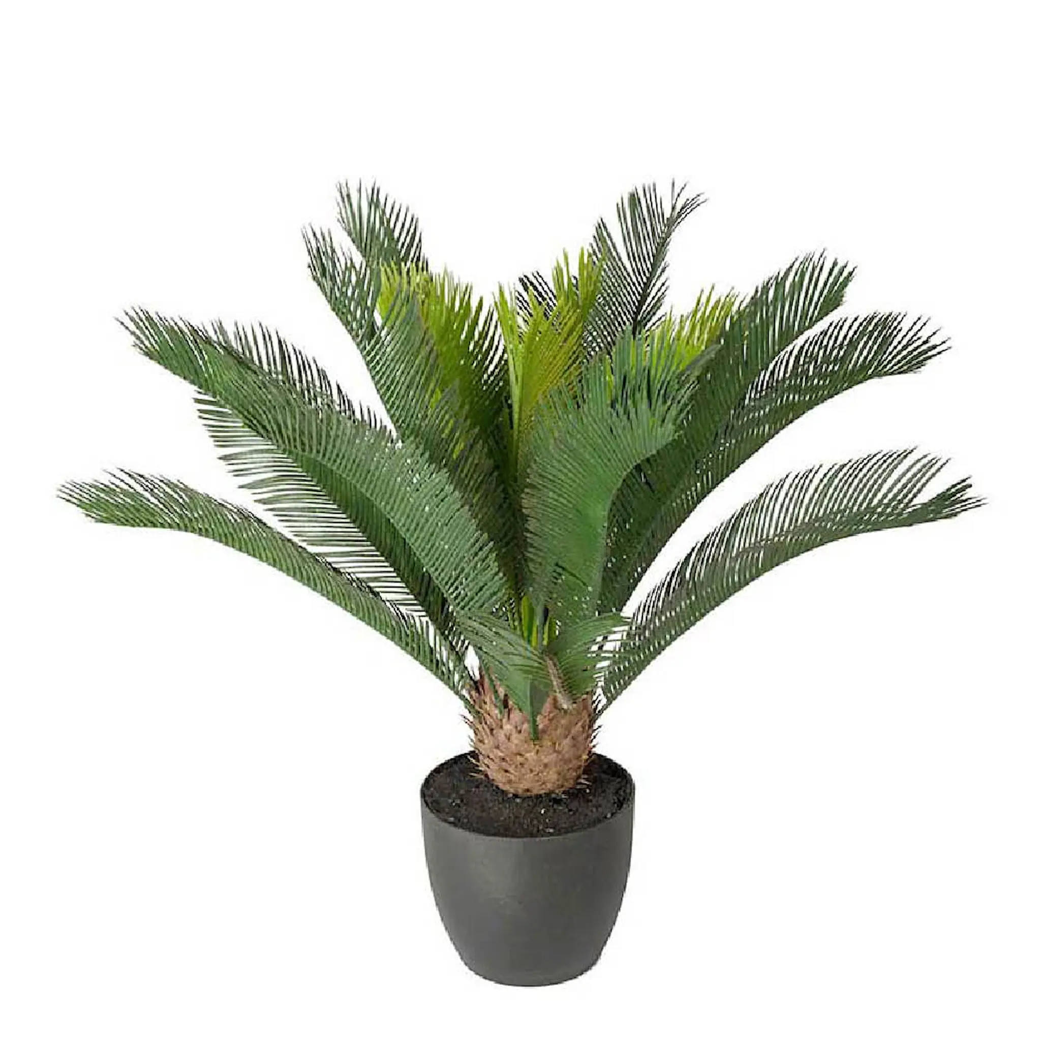 Mr Plant Cycas kunstig plante 70 cm