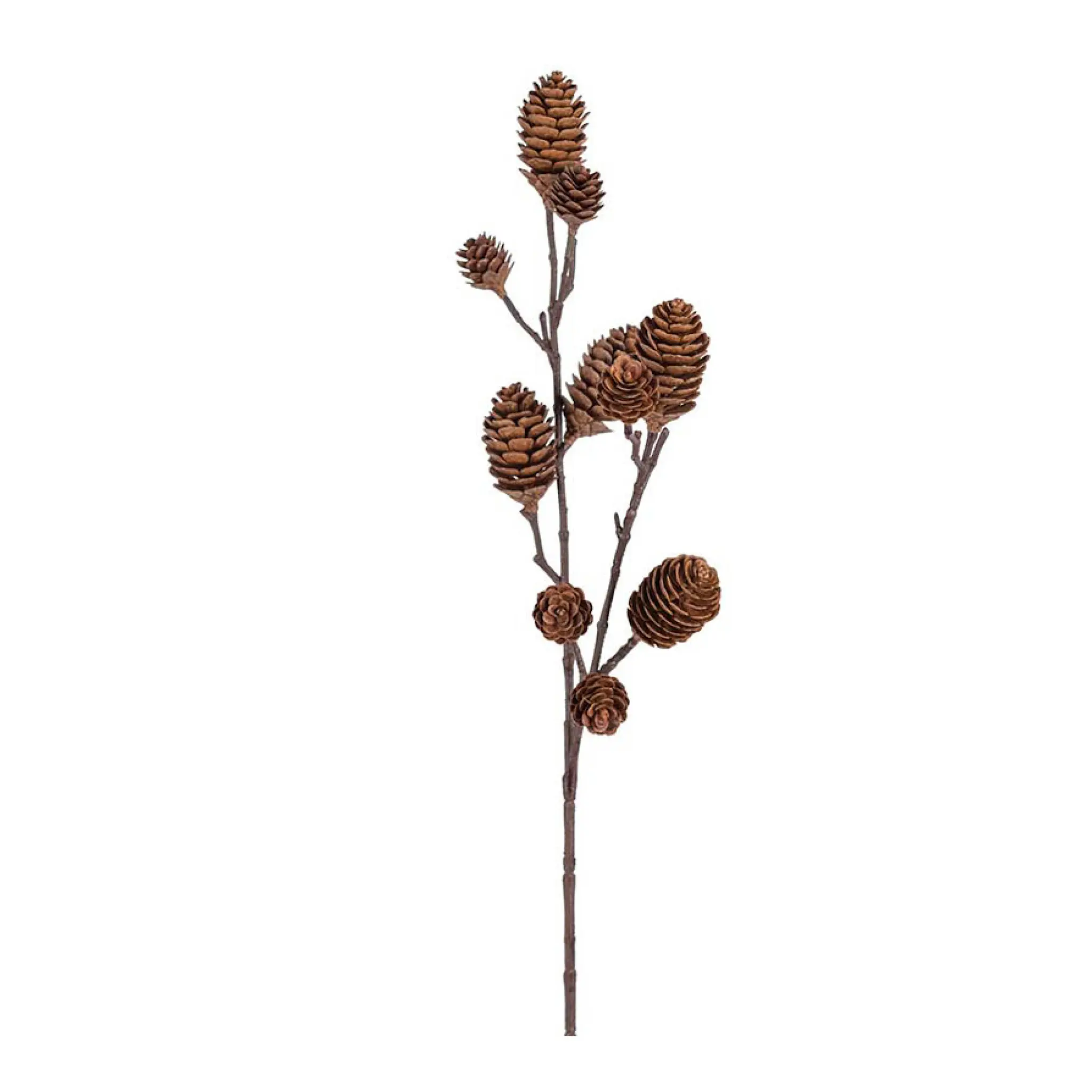 Mr Plant Kvist med kongle kunstig snittblomst 70 cm brun