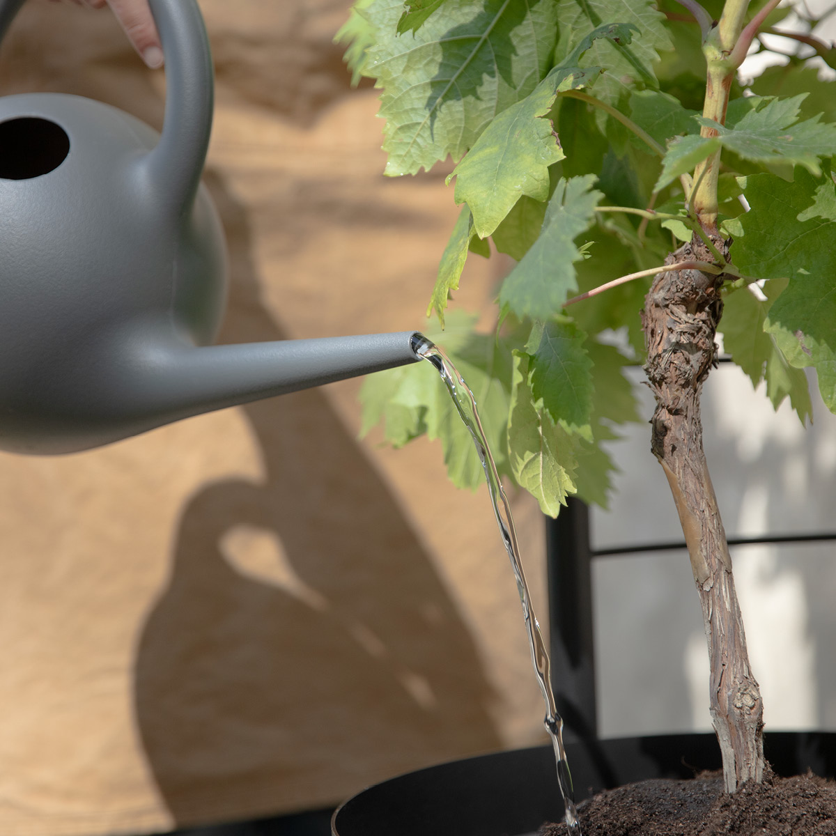 Eva Solo Simply Grow Säleikkö kukkaruukkuun Musta