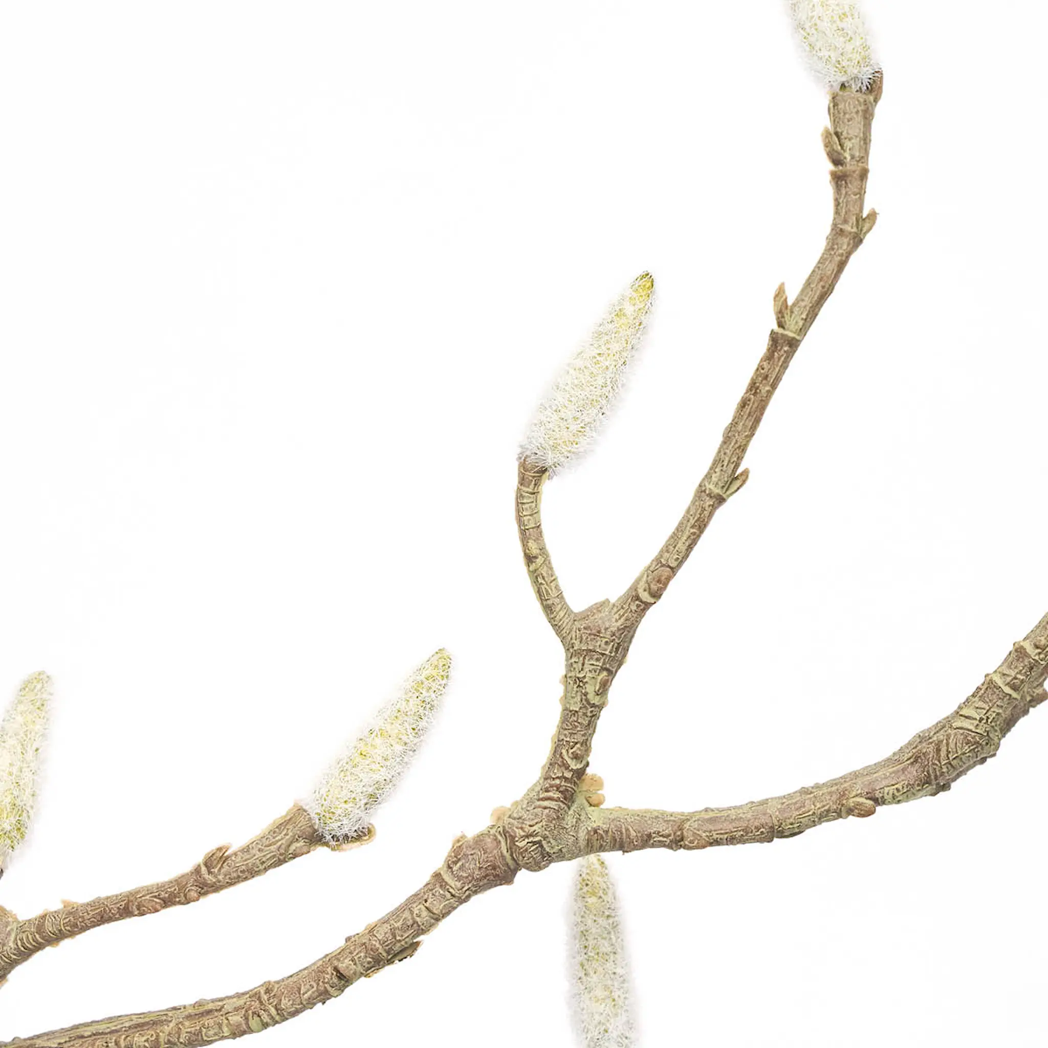 House Doctor Leaves Tekokukka Pajunoksa 40x95 cm Valkoinen