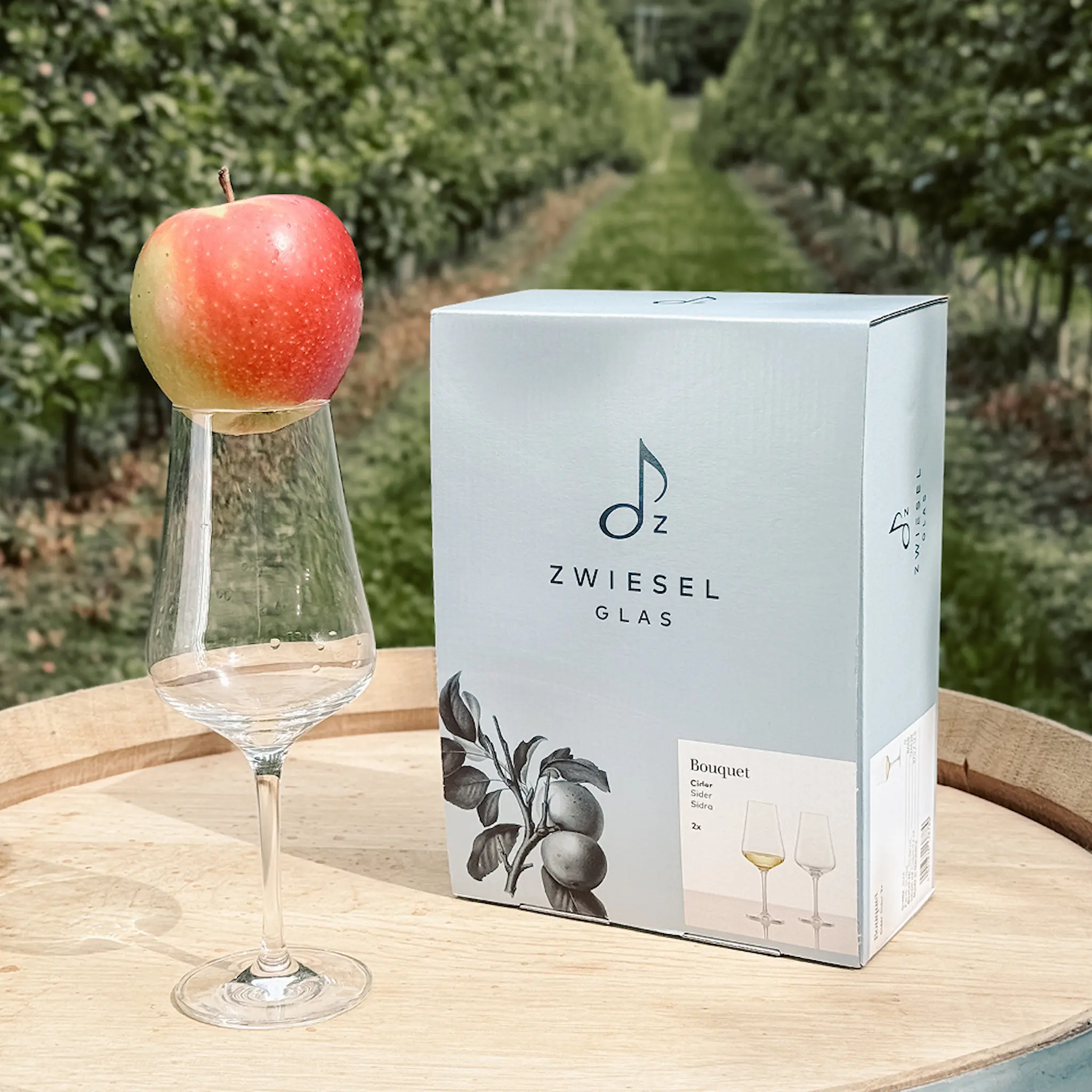 Zwiesel Glas Bouquet Siiderilasi 37 cl 2 kpl Kirkas