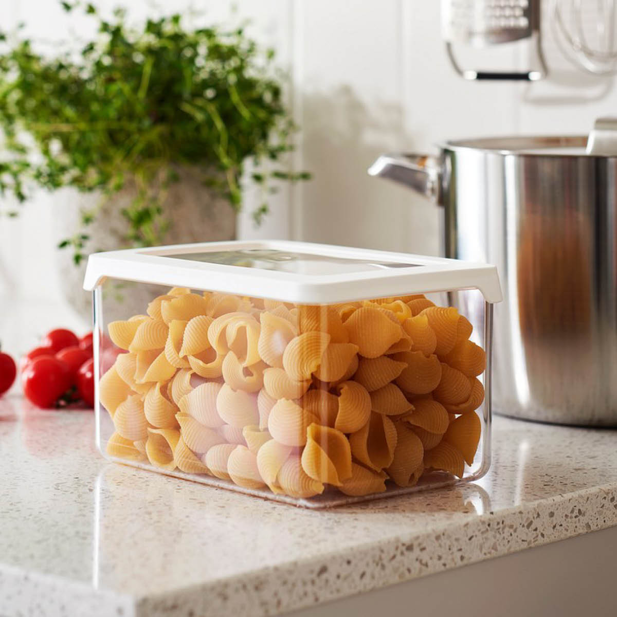 SmartStore Vision förvaringslåda med lock 1,65 L för torrförvaring