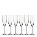 Daily Champagneglas 20 cl 6-pack