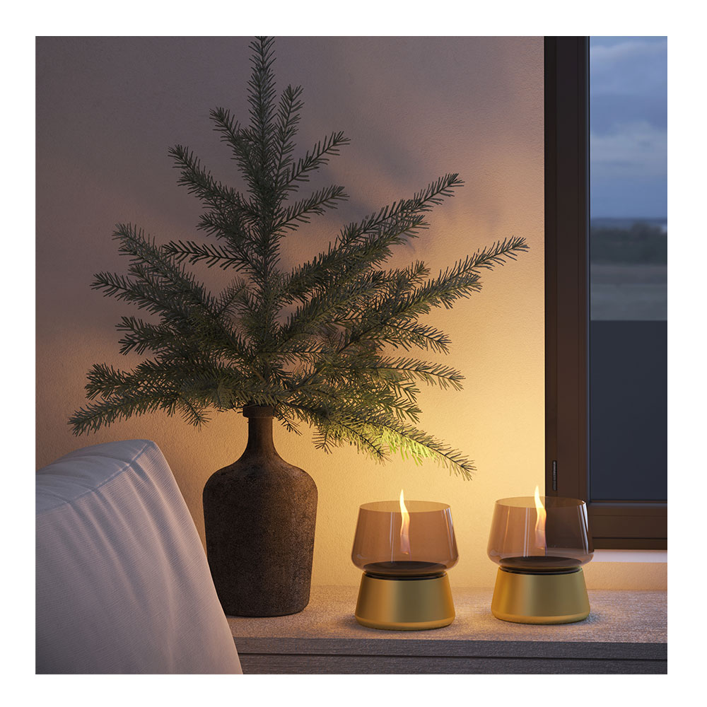 Tenderflame Amaryllis lys 14 cm gull/champagne