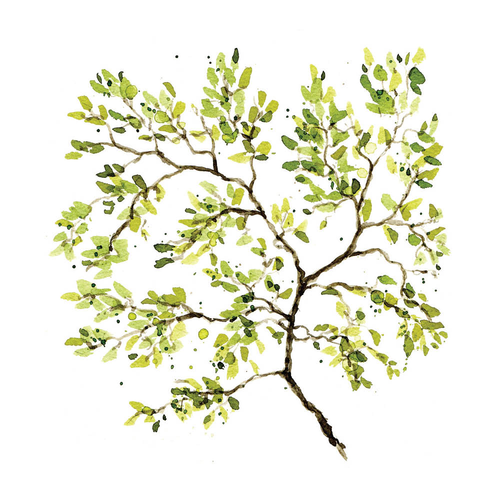 Sögne Home - Servetti 33 cm Forest