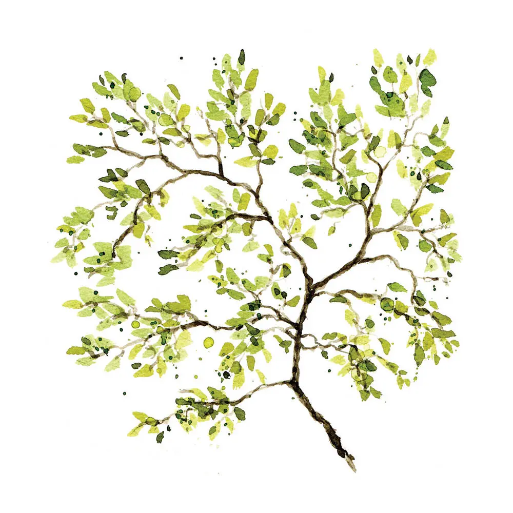 Serviett lunch Forest 33 cm hvit