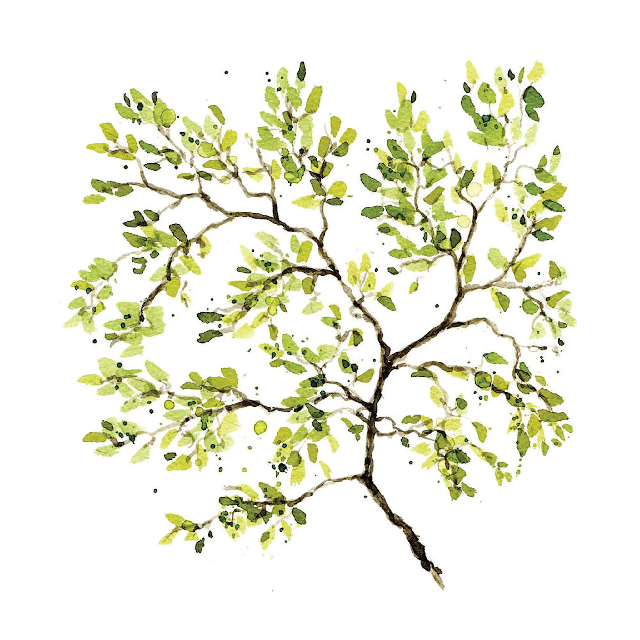 Sögne Home Servett 33 cm forest