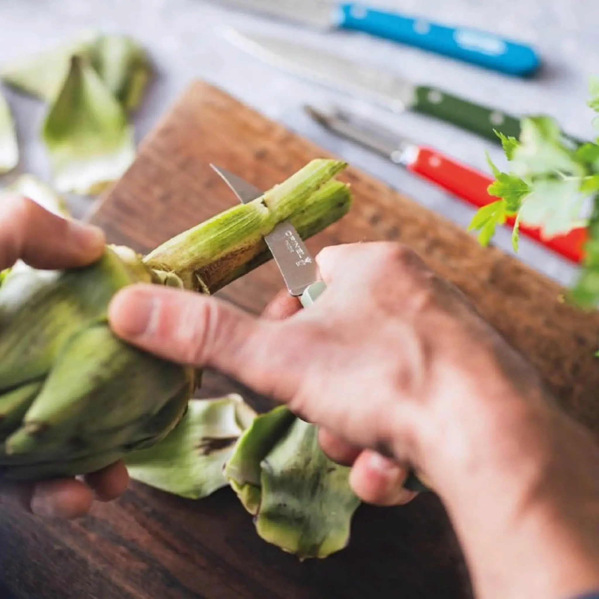 Opinel The Chef's essentials N115 grönsakskniv 16 cm Sage