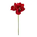 Amaryllis 63 cm röd