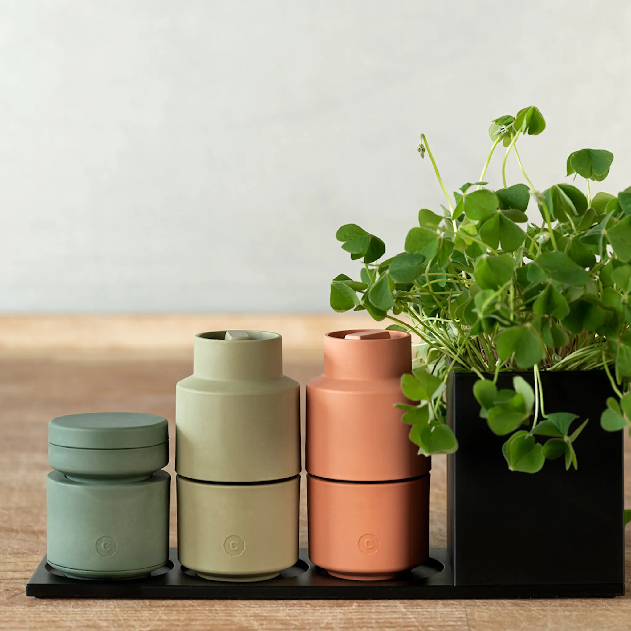 CrushGrind Billund Muskottimylly 8 cm Parsley