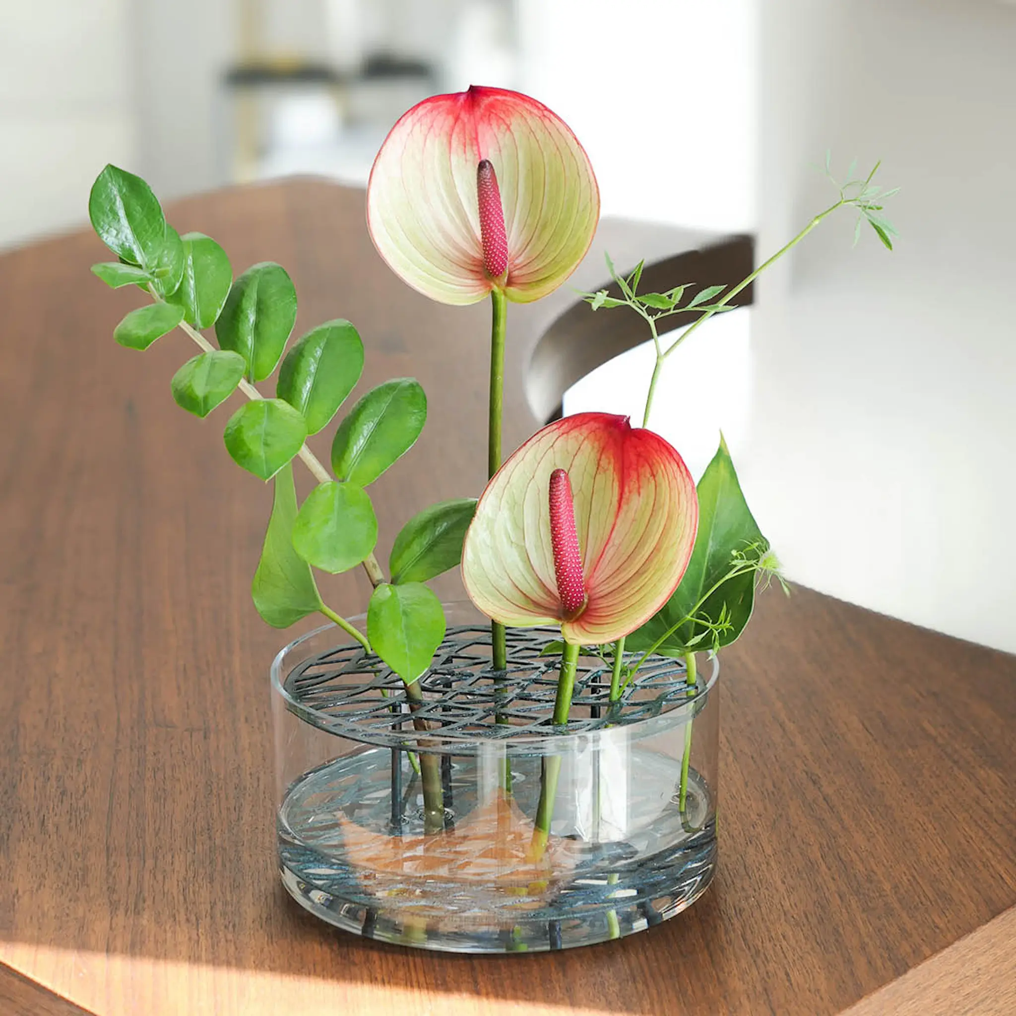 Klong Äng Vas stor Blåsvart