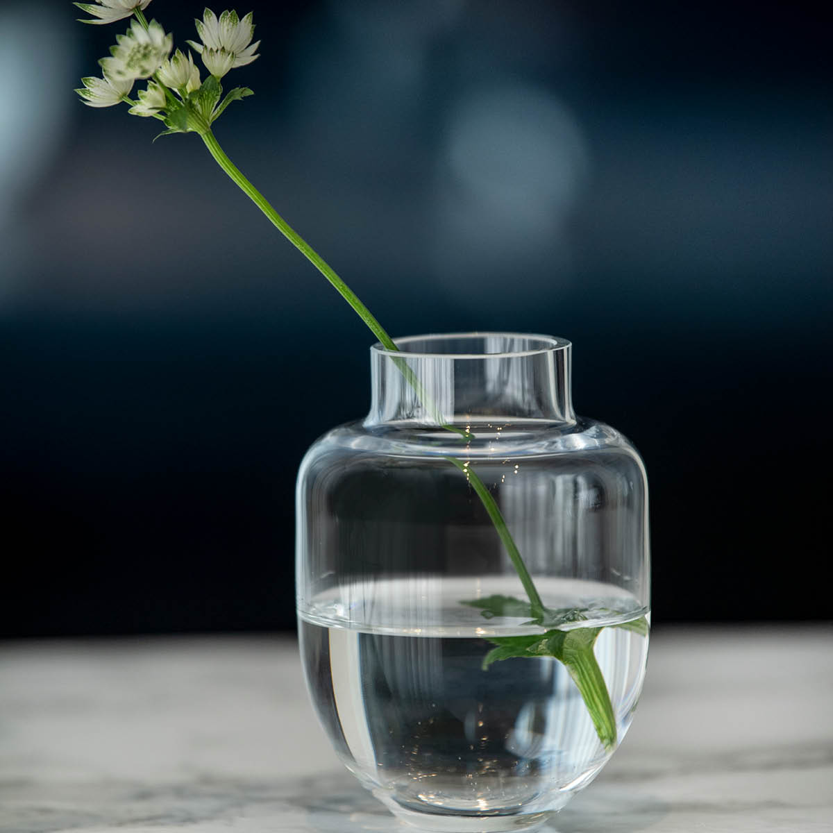 Magnor Family Vas 11 cm Klar