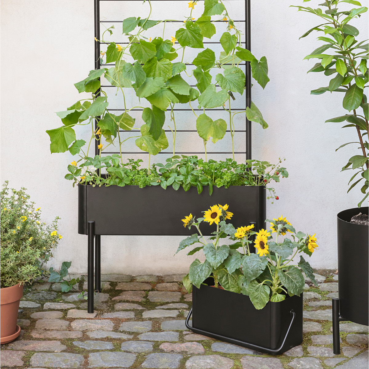 Eva Solo Simply Grow Balkonglåda 20x42x20 cm svart