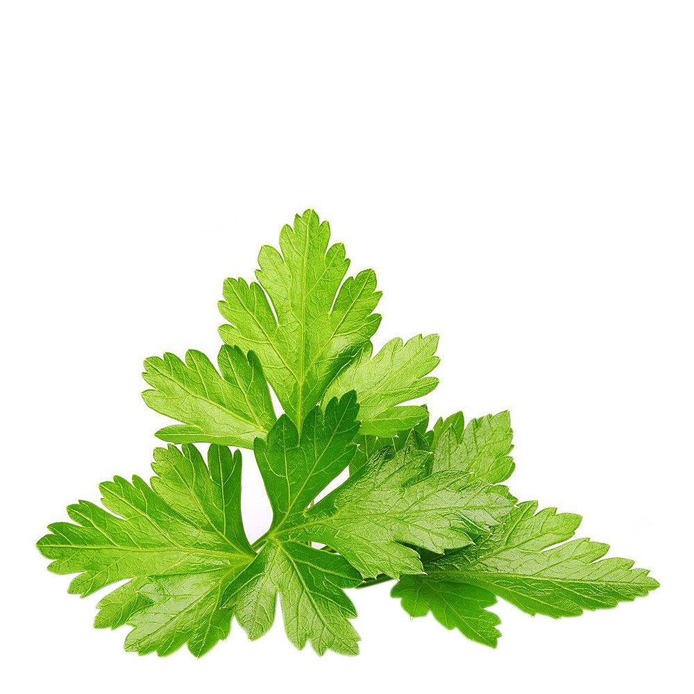 Click & Grow Smart Garden Refill 3 stk koriander